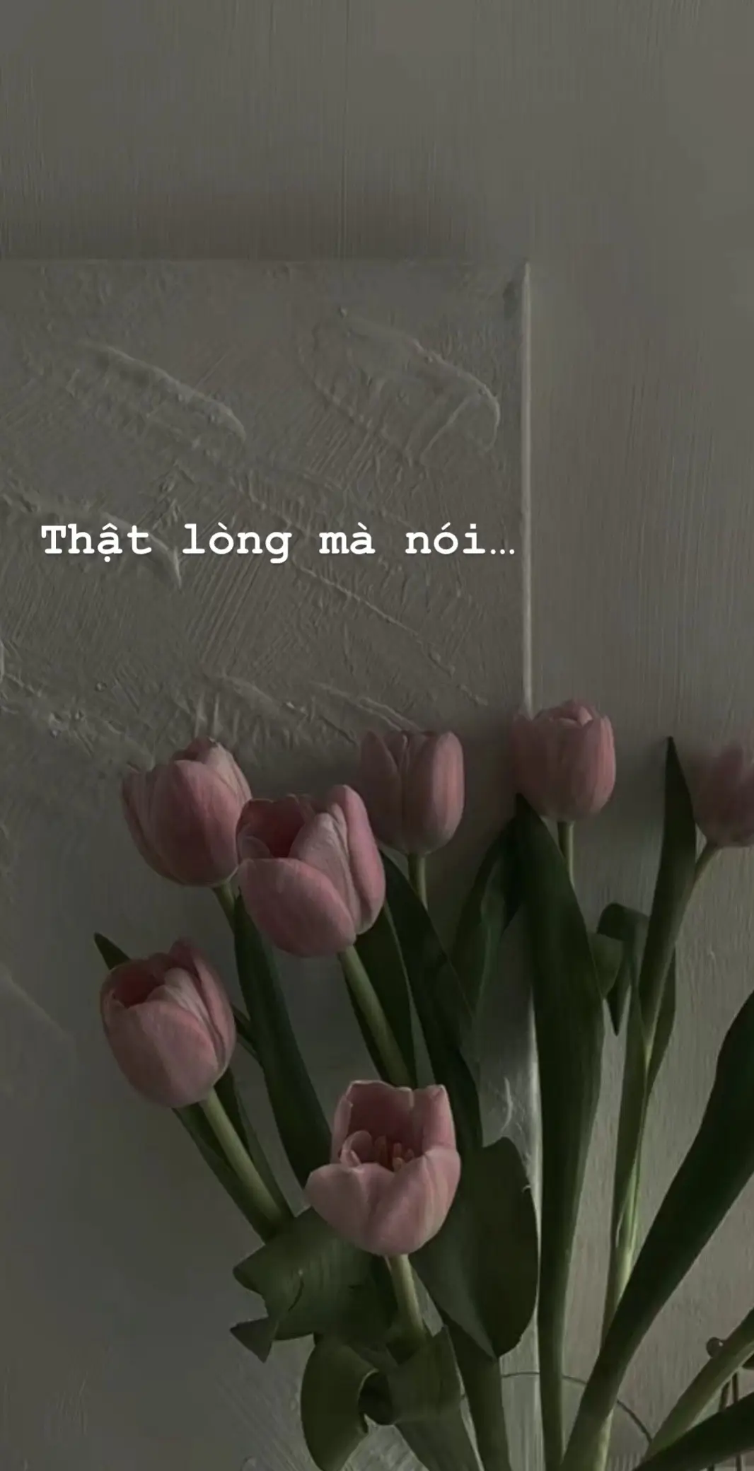 #ffws2023 #iun #crush #sadstory #aboutyou #luỵtình💔🥀 #viral #xuhuong #emiuchi #fypシ #🌷🌷 #kimnganpham377 