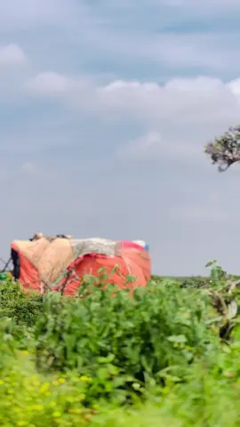 Baadiye iyo jimce🫶❤️🙏#moorganmadaxwayne❤️ #somalitiktok #foryoupage 