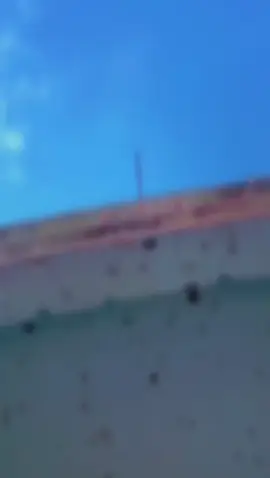 Qalbigee tankutaaalo hablo taa jecelaadey.👰🏼‍♂️🤏🤵🏽 #somalitiktok #ravinho8 #fyp #fypシ゚viral #CapCut ..….…..…………… iga garboobax 🤏☹️