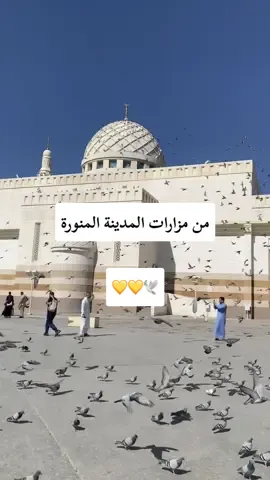 اكتبولي أماكن زرتوها في المدينة المنورة 💛  #fypシ #viral #المدينة_المنورة #المدينة #المدينه_المنوره #مسجد_الشهداء_المدينه_المنوره #المسجد_الحرام #جبل #جبل_احد #مسجد_الحرام #مسجد #madinah #saudiarabia #السعودية #السعودية🇸🇦 