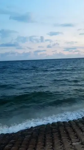 Thơm phức#lienquanmobile #meme #aov #xh #xuhuongtiktok #fyp #fpy #edit #cheemsaov #cheemsaovnews 