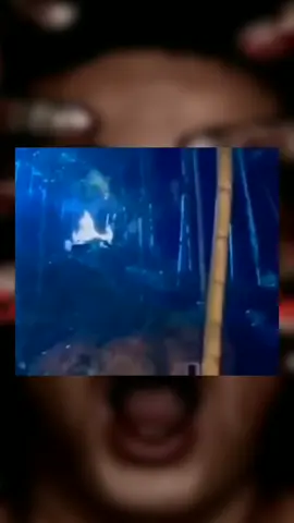 Nine-tailed fox - known as a 