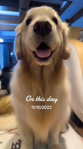 #onthisday 
