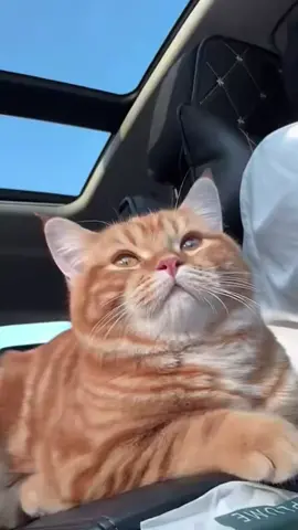 💓