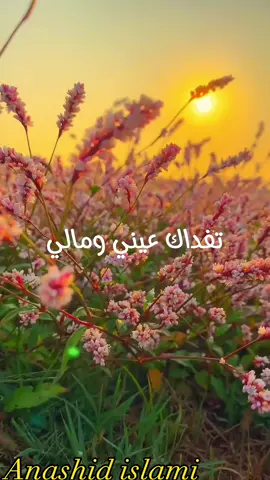 تفداك عيني _ جهاد اليافعي / أناشيد إسلامية أناشيد إسلامية #anashid_islami #Anashid_islami #fypシ #viralvideo #الامارات_العربية_المتحده🇦🇪 #اكسبلورexplore #أناشيد_أسلامية #viralditiktok2022 #anashid_islamiya #فلسطين #مصر #مقاطع #عماد_رامي #اكسبلور #سوريا #ترند_تيك_توك #سوري #سوريا #عراق #خواطر #تفداك_عيني 