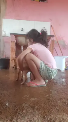 Coitado desses cachorros kkk 🥲  #vaiprofy🥺🥺 #vaiprofy😂 #isabellesallessantana 