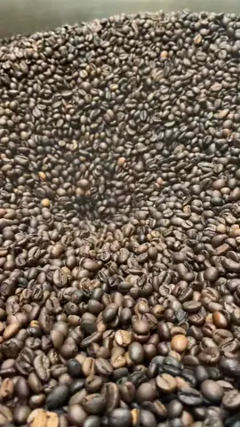 Découvrez l'authenticité chez Caffé Del Mondo avec notre café Nardi 100% ivoirien, récolté avec soin de l'usine à la tasse. Plongez dans l'expérience riche des graines de café robusta, cultivées dans les terres fertiles de la Côte d'Ivoire. Une aventure sensorielle à chaque gorgée. ☕️🌱  #CafféDelMondo #CaféIvoirien #QualitéRobusta #DuTerroirÀVotreTasse  📱0707746464 📍Rue Thomas Edison  #café #caffeine #abidjanplaces #abidjanmarcory #coffee #coffeehouse #coffetime #coffeelover #cafecolombiano #cafecafe #cacao #creamy #icelatte #cremecaramel