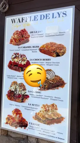 If you are ever in Gatlinburg, TN please check out Waffle de Lys! It was hands down my favorite indulgence on this vacation! So good! Customer service was great as well. 10/10 would definitely visit again! #gatlinburg #smokymoutains #thevillage #waffledelys #dessert #waffles #cookiebutter #Foodie #icecream #fyp #foryou 