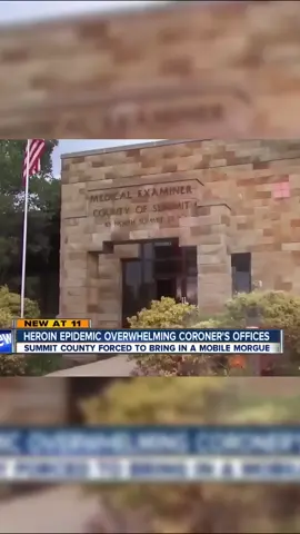 Reporter does not care #nofucksgiven #meme #skull #news #newsclip