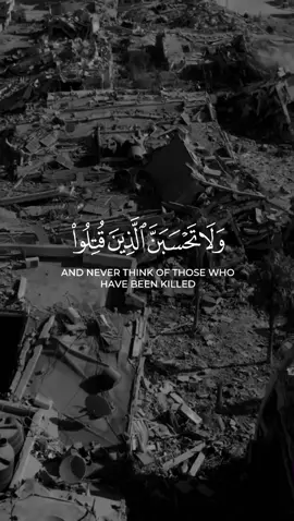 ﴿ولا تحسبن الذين قتلوا في سبيل الله أمواتا بل أحياء عند ربهم يرزقون﴾ [169] #سورة_آل_عمران #ماهرالمعيقلي 