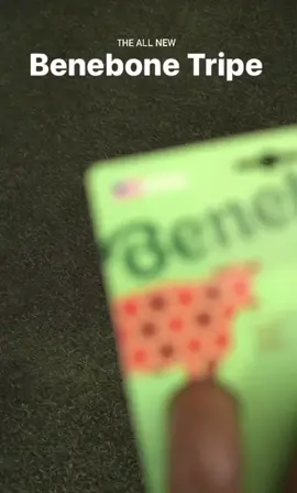 Não é segredo que cachorros amam roer, mas o que diferencia um mordedor para o outro? 🤔 Sabor de verdade, claro!  O seu doguinho já experimentou o Benebone Tripe? Infundido com sabor real de tripa bovina, ele vai enlouquecer com o cheiro e sabor 😋 - e o melhor, só eles sentem o aroma!  Garanta já o seu aqui na Dog VIP.  #benebone #fyp #fy #fypシ 