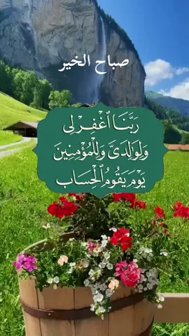 #صباح_الخير #صباحكم_معطر_بذكر_الله #القران_راحة_نفسية #صباحيات_جميلة 