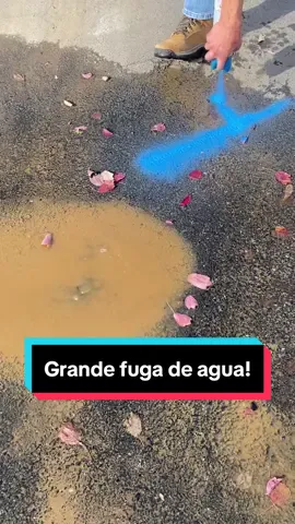 #plumber #plumbing #savewater #leakdetection #leak #foryou #parati #detectordefugas #fugadeagua #reparacion #mainlineleak #fontanero 