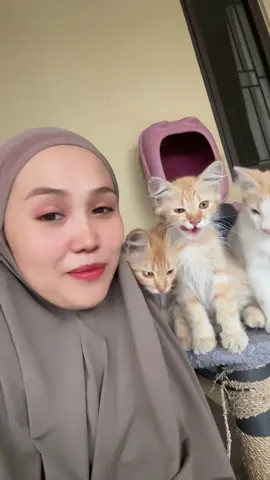Papi 3 serangkai baru balik kerja😂 #pororoandthegank #inipororo #farrelarkanza 