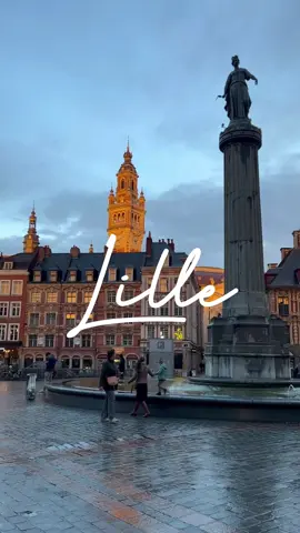 The quaint town of Lille, in the north of France. Beautiful flemish architecture, definitely worth a visit. I loved it. #lille #france #visitfrance #citybreak #travelblog #lovefrance #vieuxlille #sunset 
