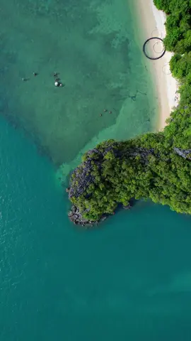The magical sceneries of langkawi, an island based in North West of Malaysia.. 🏝🌴 #malaysia #maldives #trees #blue #Summer #sunny #beaches #ocean #post #birthday #fly #maldivian #edit #video #dji #vacation #langkawi #fourseasons #resort #fyp 