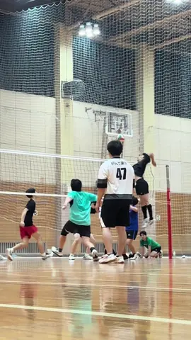＊男子ネットです🐮#バレーボール #ハイキュー #バレーボール男子 #牛島若利 #牛若くん #volleyball #haikyuu #スパイク #243cm 