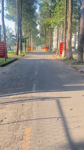 Buổi chiều T7 của tôi🇻🇳#tqsqk7 #truongquansuquankhu7 #fyp #xuhuongtiktok #xuhuong2023 #giokhongcuoithinaocuoi 