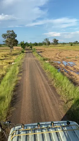 ก็เรามันลูกชาวนา#นาปีอีสาน🌾 #บุรีรัมย์ #พัทลุง #รถเกี่ยวข้าว #ช่างปุ๊เจริญการช่าง 