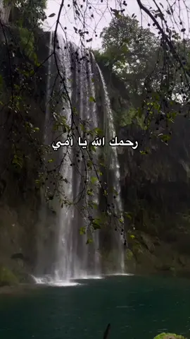 امي الله يرحمك ويغفرلك ويدخلك الجنة بلا حساب ولا سابق عذاب💔 #رحمة_الله_عليك #رحمك_الله_يا_فقيدة_قلبي💔 #قرآن #يارب #امي #امي_جنة #اسلام_صبحي #تيك_توك 