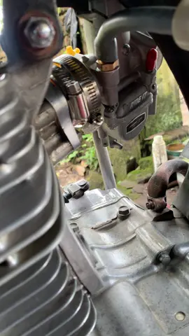 Repot musuh bocil kematian #agamspeed #cbglmptiger #herex 