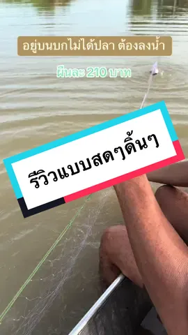 เห็นแล้วหิวข้าว #แสงดาวทรัพย์เจริญ #ข่ายดักปลา #เชือกไนล่อน #แหเอ็นปอนด์ #ปลาแขยงล้วนๆ #ปลาแขยงข้างลาย #มองดักปลา🐟 