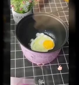 REDCHERRY 1.8L Non Stick Electric Pot#electricpot#goodthings#for you#VocêNasceuParaMudar #electric hot pot #mini electric cooker