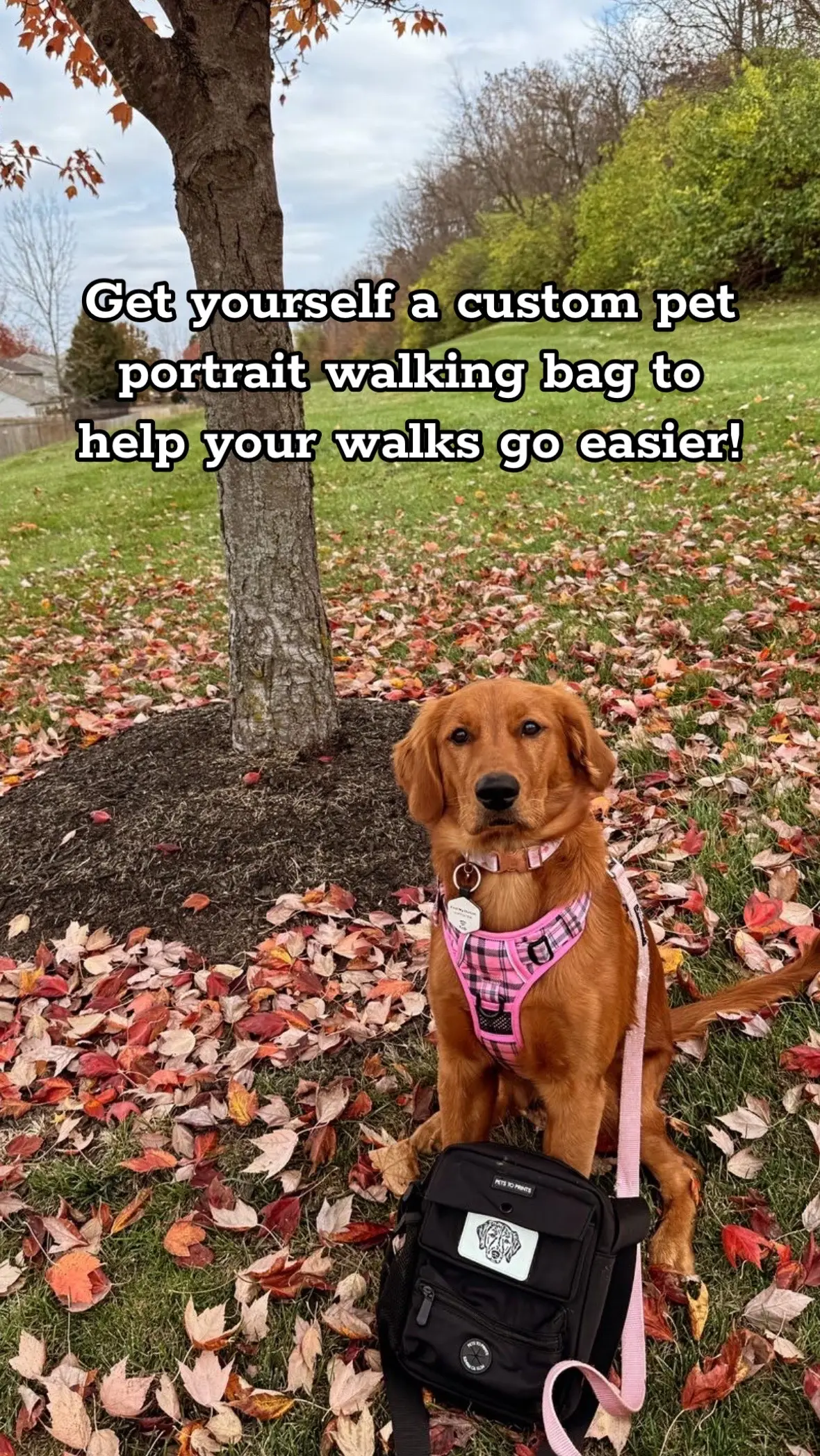 These bags can be customized with a patch add on or left as is! Use code HAZEL15 to save! #dogmom #goldenretriever #redgoldenretriever #walkingbag #dogwalker #dogwalkingbag #christmasgifts #fannypack #crossbodybag #SmallBusiness #shopsmall #shopsmallthischristmas @steffaniemusgrave 