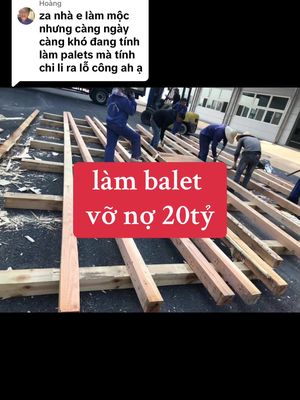 Trả lời @Nguyên Hoàng anh đã từng một thời làm #bale #palet rồi #vỡnợ20tỷ , nếu tay mơ thì tốt nhất lằm im đừng ngọ nguậy kẻo lại #báonhà    @THÁNH.QUẠT 
