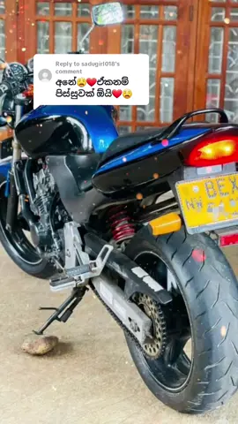 Replying to @sadugirl018 BEX Babe 🌝❤️ #honet #honda_hornet_250 #VoiceEffects #1st_anniversery_celebret_saeface #ceylon_tik_tok #viral #fypシ #foryoupage #status #evo_music_audiente 