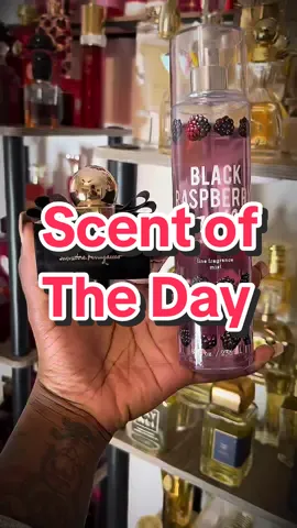 ✨Scent of the Day✨ Salvatore Ferragamo Signorina Misteriosa x @Bath & Body Works Black Raspberry Vanilla 😍 this combo literally smells like a creamy blackberry dessert! So yummy! • • • #salvatoreferragamo #signorinamisteriosa #bathandbodyworks #blackrasperryvanilla #scentoftheday #fragrancelayering #fragrancecombos #fragcomm #perfumetok #perfumetiktok #fragrancetiktok 