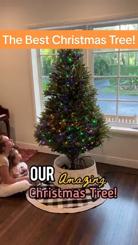 It’s really as amazing as it looks! 🌟 Link in bio for those interested! It takes seconds to set up, is pre-lit with different colors and settings, and looks so real! 🤩  I get it, the debate between artificial and real trees is real, but this video is for those who want to make their lives a bit easier, save money on buying a tree for the rest of their lives, save their back from picking up pine needles for the rest of their lives, and enjoy the hassle-free beauty of a pre-lit artificial tree! 🎄 It’s not available on Amazon this year anymore and please beware of shady companies who have stolen my videos from past years trying to sell completely different Christmas trees! 😡 And if you’re new here hi 👋 I’m Michelle. I love to share fun things for the family and tips for parents. I’m so glad you found us and hope you’ll follow for more! 💛 #holidaymagic #christmasdecor #christmas #christmastree #makingmemories @Michelle 