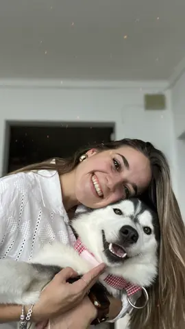 #CapCut no se si llegamos atrasadas a este trend 😵‍💫🫶🏼 #jerrydi #MemeCut #VideoAleatorio #fypシ゚viral🖤tiktok #huskylover♥️ #fyppppppppppppppppppppppp #bendi #bendiciones #viralvideo 