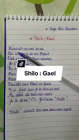 Shilo : Gael  #tiktokchretien #chansonchretienne #seigneur #sagelevi #gospel 