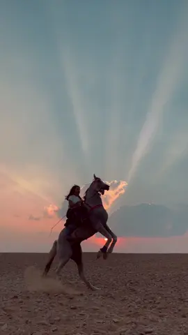 SHATTAA MASRRR😝🔥🔥. #nazlyhammad #nazletelsemman #nazletelsamman #خيل #خيول #خيل_وخياله🐎 #خيل_عربي #horse #horsegirl #الفروسية #نازلي_حماد #خيالة