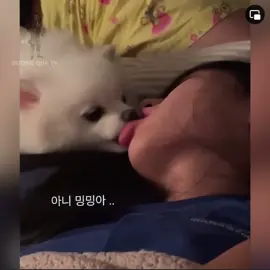 Đang ngủ mà nằm mơ hôn crush kiểu 🥲#videoviral #votri #TikTokAwardsVN2023 #trending #hai #xuhuong #cuoibebung 