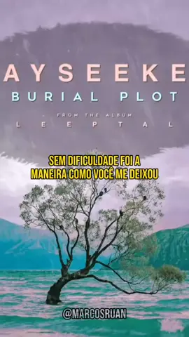 @Dayseeker -Burial Plot  Álbum: Sleeptalk #dayseekerband #dayseeker #dayseekersleeptalk #darksun #burialplot #rory #foryou #fy 