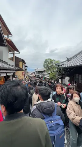 Mentahan #kyoto #kenshuuseijapan🇮🇩🇯🇵 #fyp #mentahan 