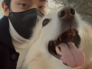 [11-15-23] happy birthday jake! #enhypen #jake 