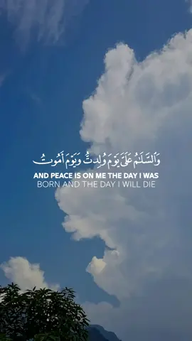 والسلام عليّ يوم ولدت ويوم أموت ويوم أبعث حيًا ذلك عيسى ابن مريم #القارئ_صلاح_بوخاطر #ايات_قرآنية #قران_كريم #قران   #سبحان_الله #oops_alhamdulelah#سورة_مريم   #لااله_الا_الله#الله_اكبر #لاحول_ولا_قوة_الا_بالله #اللهم_صل_على_نبينا_محمد #اكسبلورexplore 