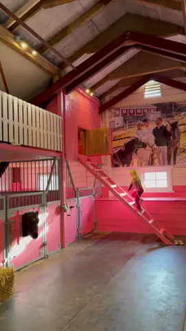 We made a bedroom in our stable😍 We also made a loft above the boxes. On top of the loft we have storage for horse equipment. It's so much fun to climb up there. What do you think?😁 #horse #stable #farmlife #farmer #pinklover #pink #pinkworld #lovepink #equestrian #horses #pony #linelaagasken #hest #pferde 
