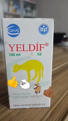 yeldif #yeldif #kuzu #oğlak 