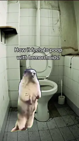 Accurate description! #funny #trending #viral #comedyvideo #crap #foryou #💩 #fyp #foryoupage #hemorrhoids #pain #sucks #thankyou #preparationH #lol #toilethumor #roids #hemmies #blow #dukeybrown #haveacrappyday #rectum @PreparationHOfficial #thankyou #😁 