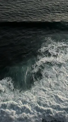 maaf dan terima kasih