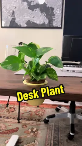 I love my desk plant. If you want this plant pot, share with your friend that has a 3D printer. Files in my Patreon (link in bio) #3dprinting #desksetup #plantsoftiktok #GamingSetup #productivity 