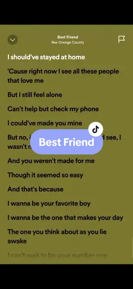 Best Friend - Rex Orange County #lyrics #spotify #foryou #fypシ 