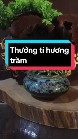 Buổi tối đốt tí hương trầm, tâm hồn thư thái lòng bỗng nhẹ tênh #moingaymotniemvui #TikTokAwardsVN2023 #luxongtramhuong #master2023bytiktok 