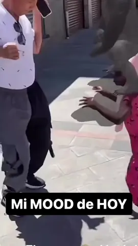 Jajajajaja mood: yeana #viraltiktok #pa #humortiktok #greenscreen #pyfツ #yeana #viralvideo #moodboost #bailestiktok #bailarina 