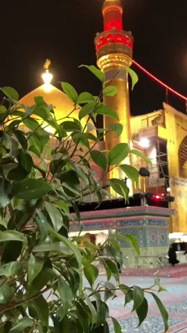 لو زاد همك والحزن ما ينجلي .. اتجه صوب النجف وأصرخ دخيلك يا علي #CapCut  #foryou #fypシ #fyp #viral 