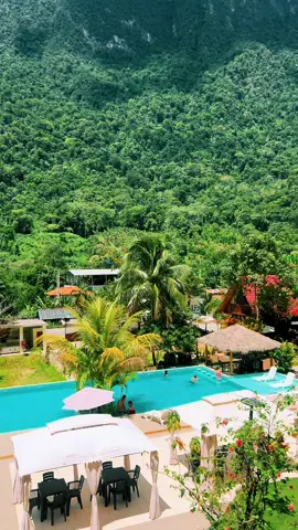 Despertar con esra vista no tienes precio! 🤩 #travel #traveltiktok #selvaperuana #piscina #bungalows #hotel #paradise #selva #tingomaria #greenscreen #fyp #viajesporelmundo 
